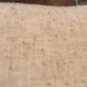 Meet your Posher, Nora